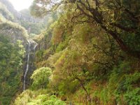 Madeira